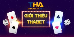 Giới thiệu về nhà cái Thabet